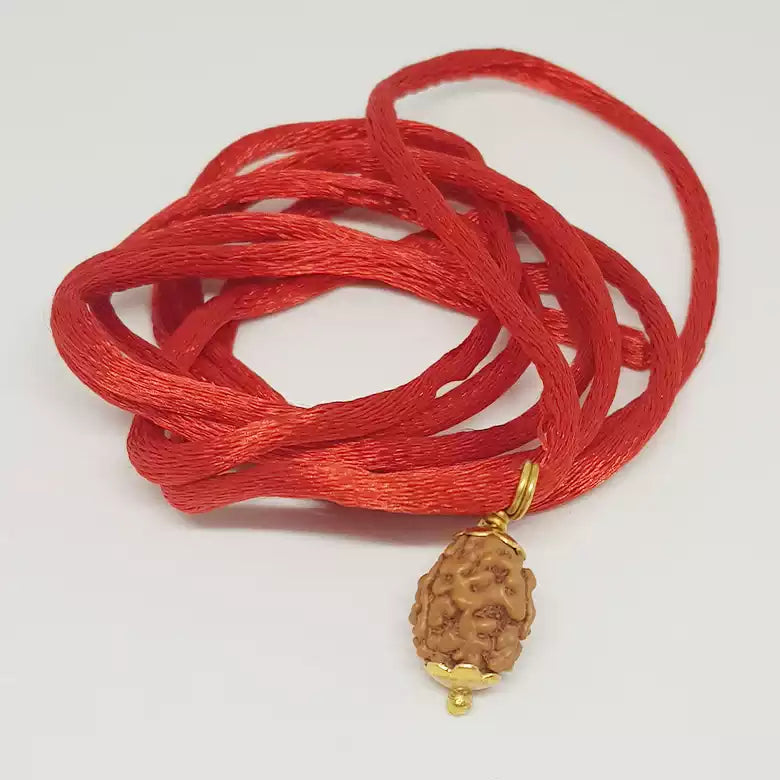 3 Mukhi Rudraksha Indonesia