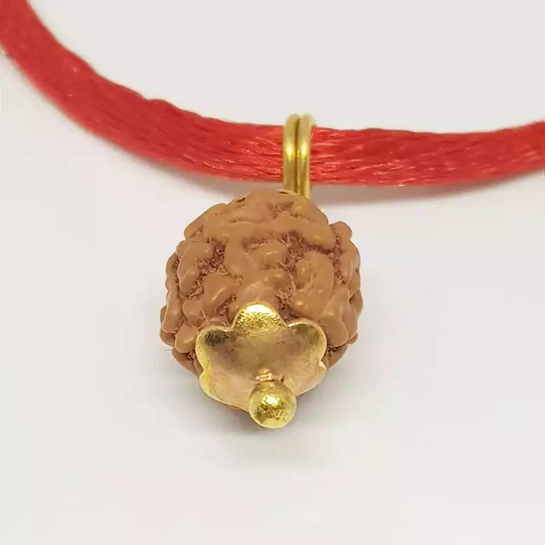 3 Mukhi Rudraksha Indonesia