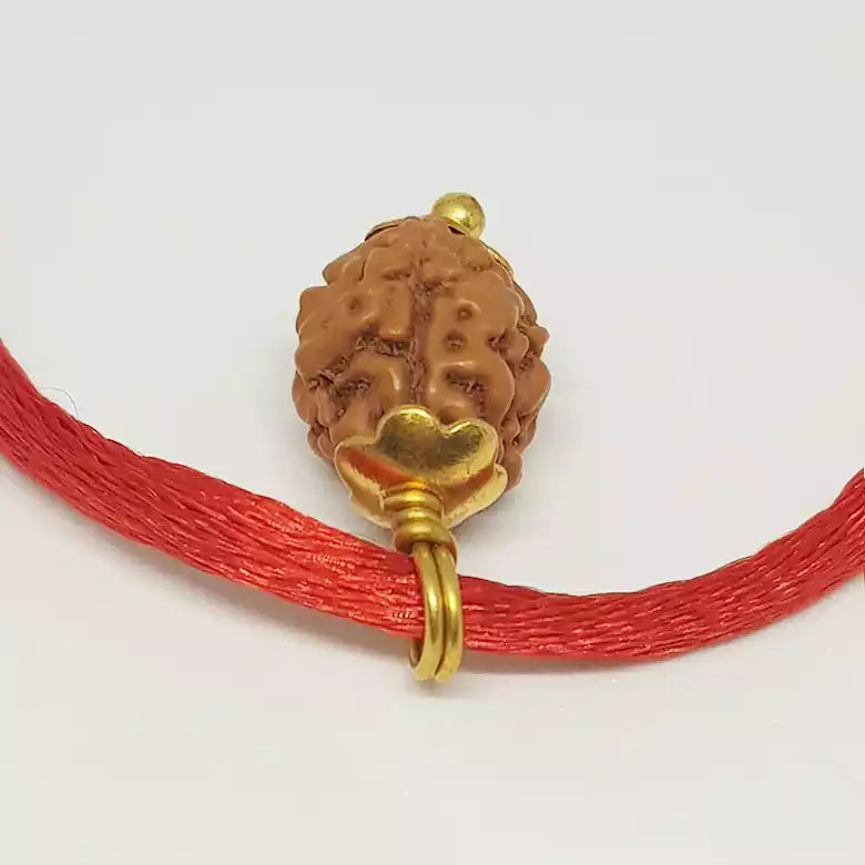 3 Mukhi Rudraksha Indonesia