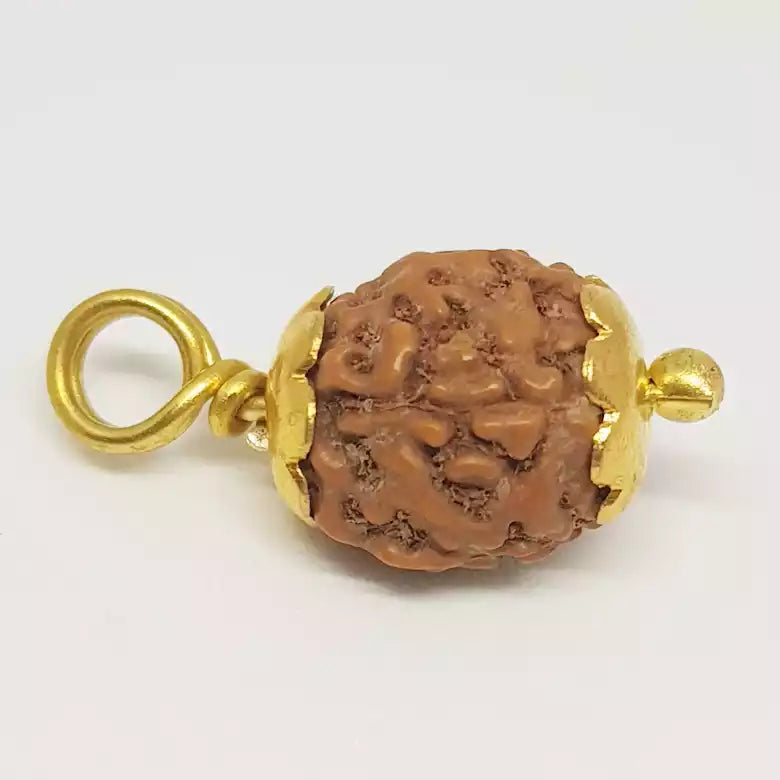 4 Mukhi Rudraksha Indonesia