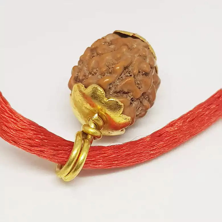 4 Mukhi Rudraksha Indonesia