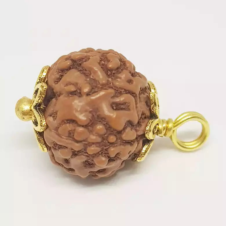 5 Mukhi Rudraksha Indonesia