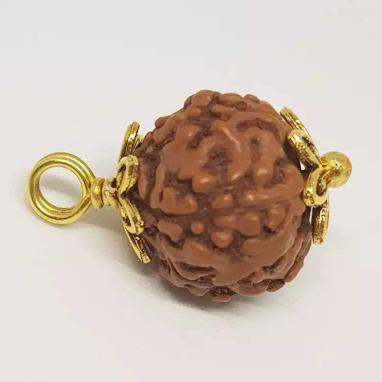 5 Mukhi Rudraksha Indonesia