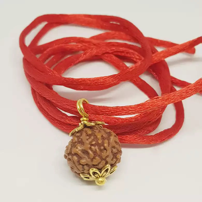 5 Mukhi Rudraksha Indonesia