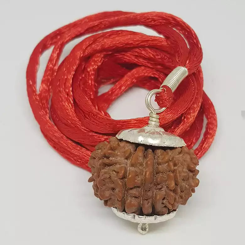 Fifteen Faced Rudraksha