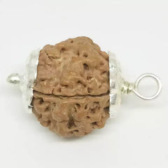 Five Faced Rudraksha