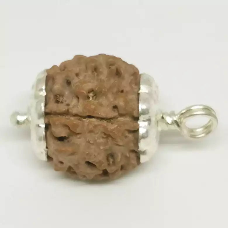 Four Faced Rudraksha