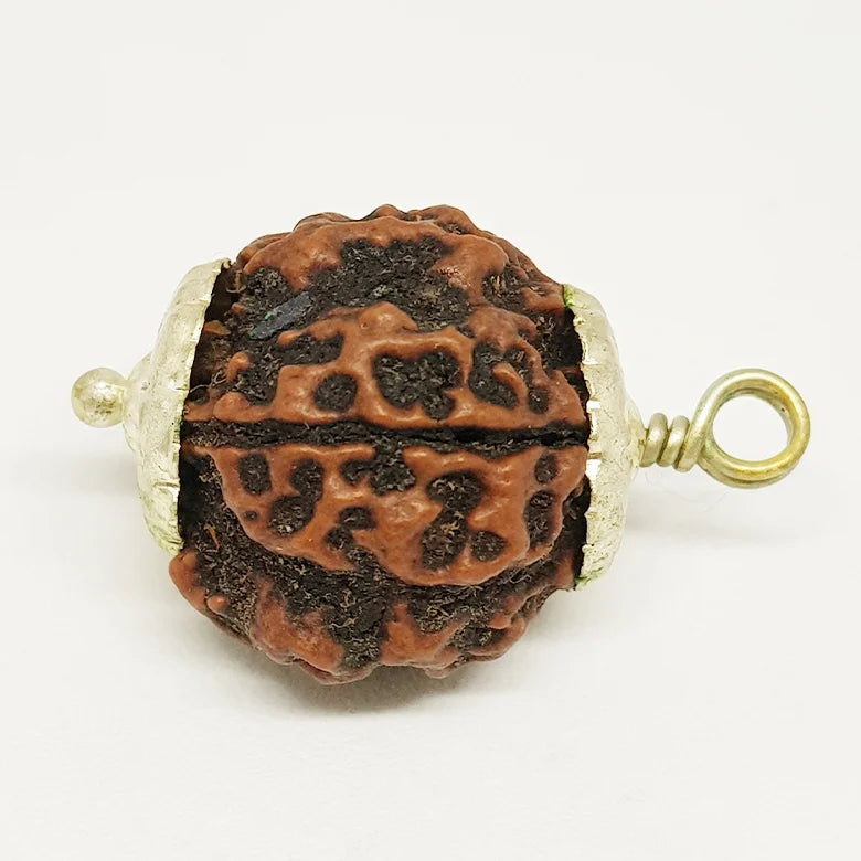 Four Faced Rudraksha