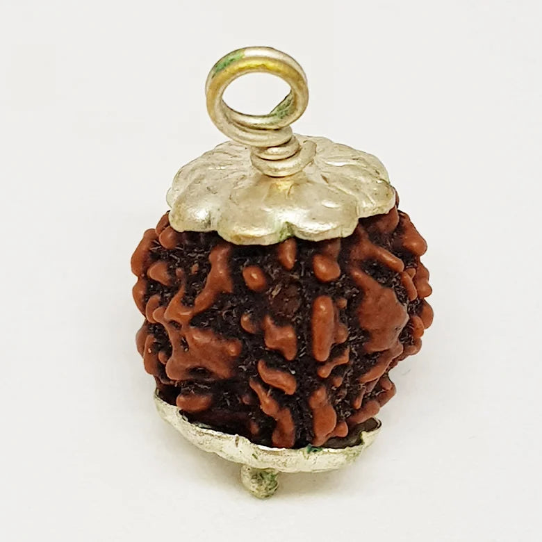 Four Faced Rudraksha