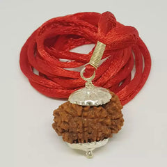 Fourteen Faced Rudraksha