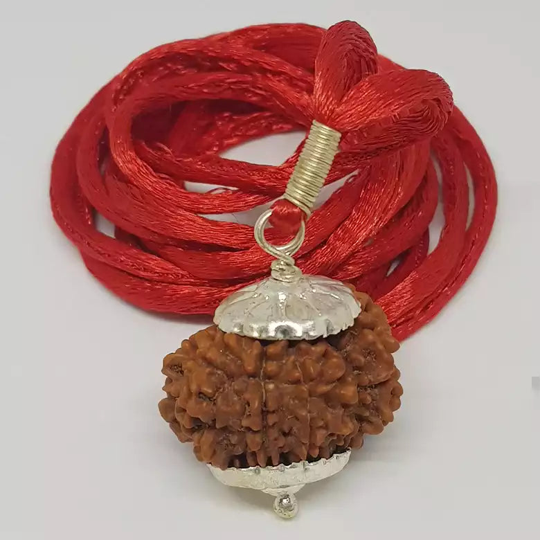 Fourteen Faced Rudraksha