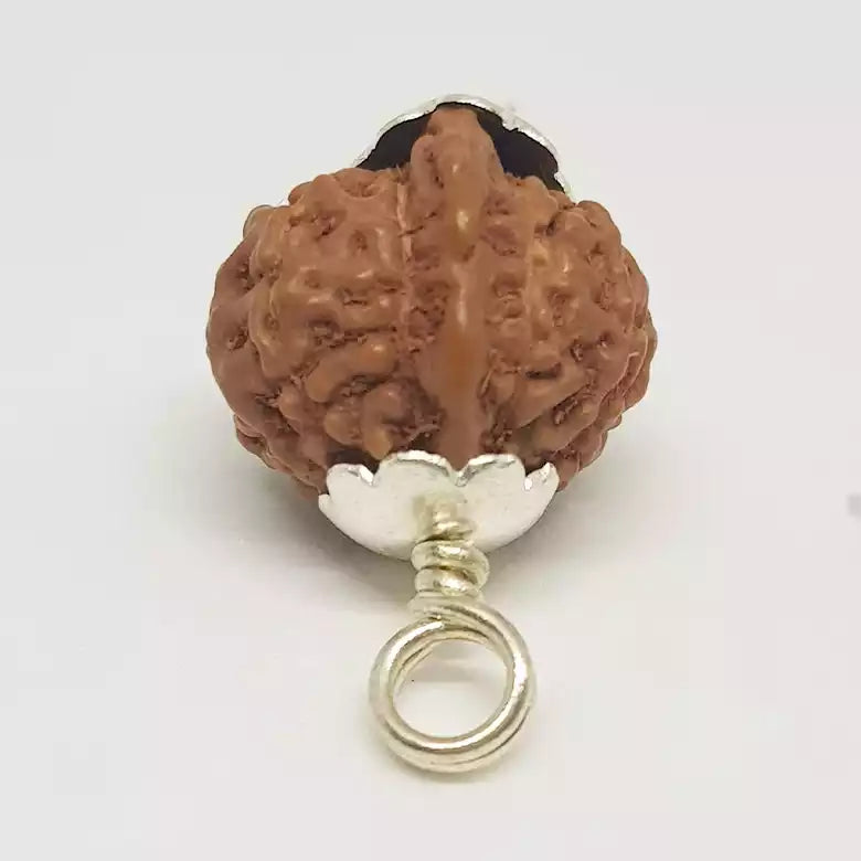 Ganesh Rudraksha Indonesia