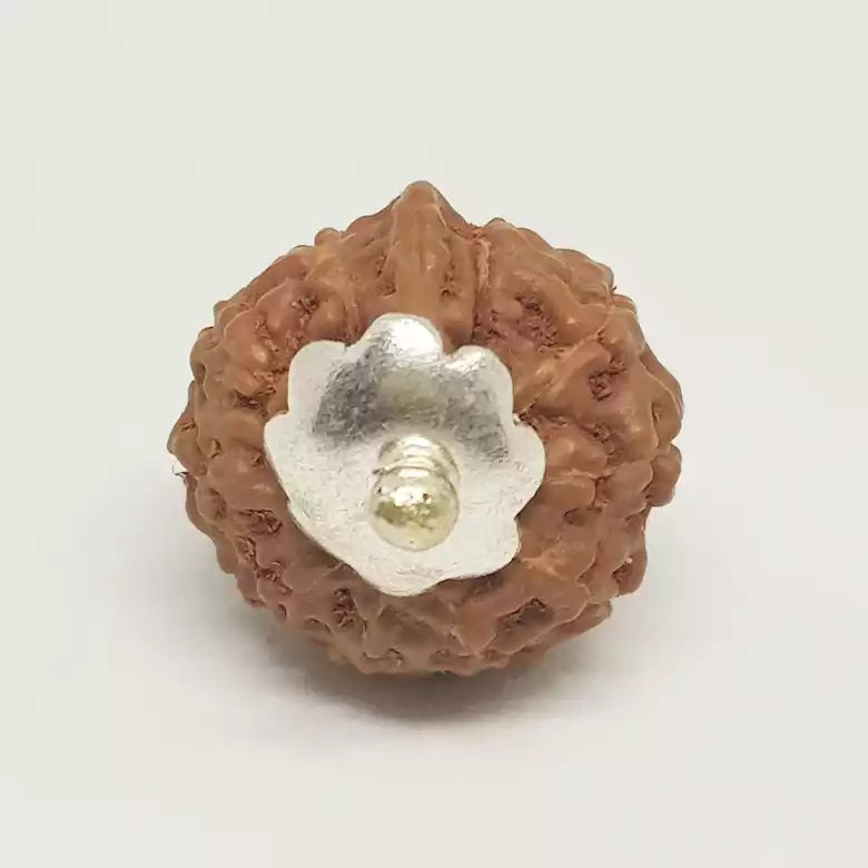 Ganesh Rudraksha Indonesia