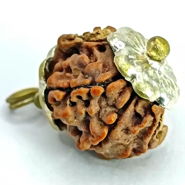 Ganesh Rudraksha Nepal