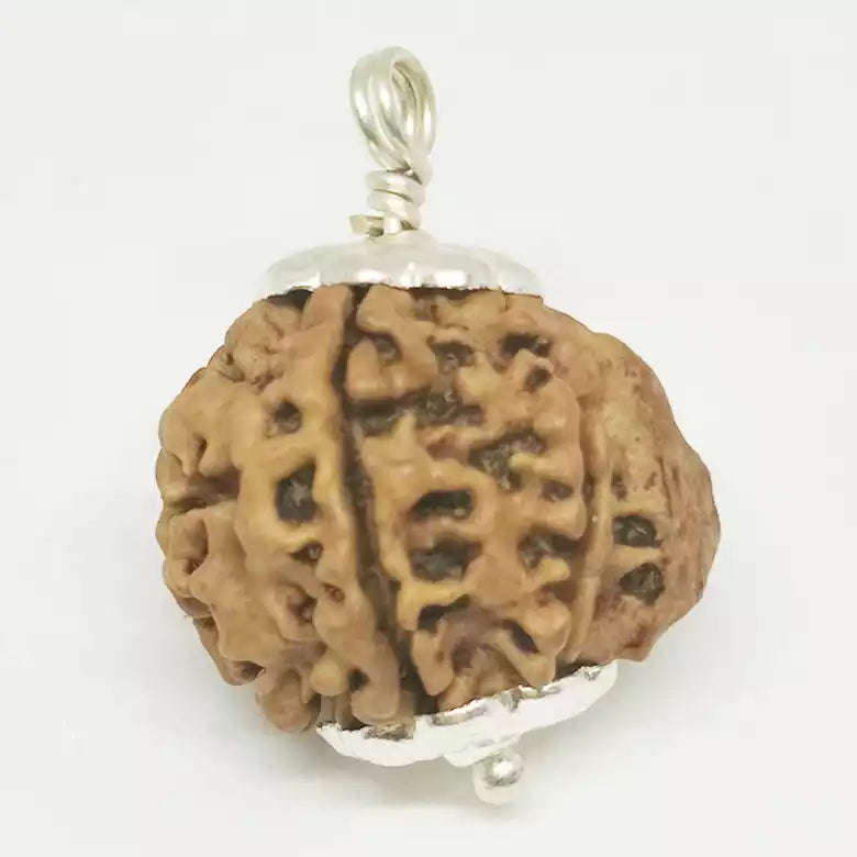 Ganesh Rudraksha