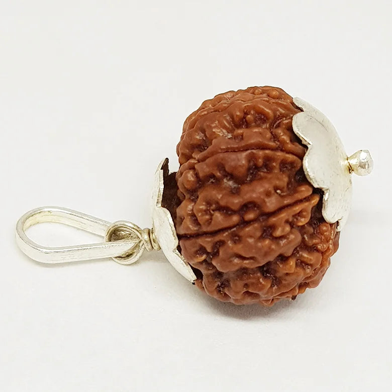 Nine Mukhi Nepali Rudraksha