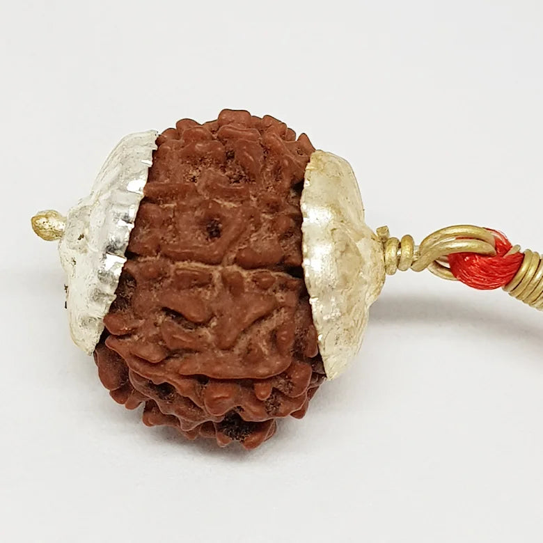 Nine Mukhi Nepali Rudraksha