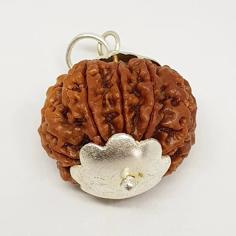 Nine Mukhi Nepali Rudraksha