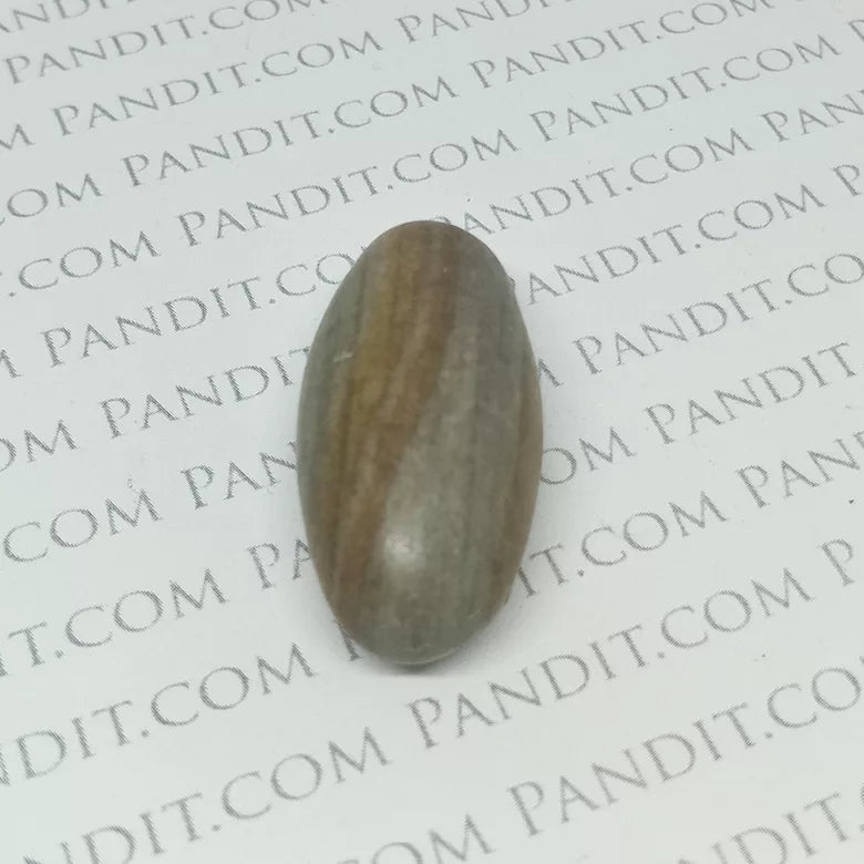 Shaligram