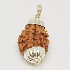 Three Faced Rudraksha