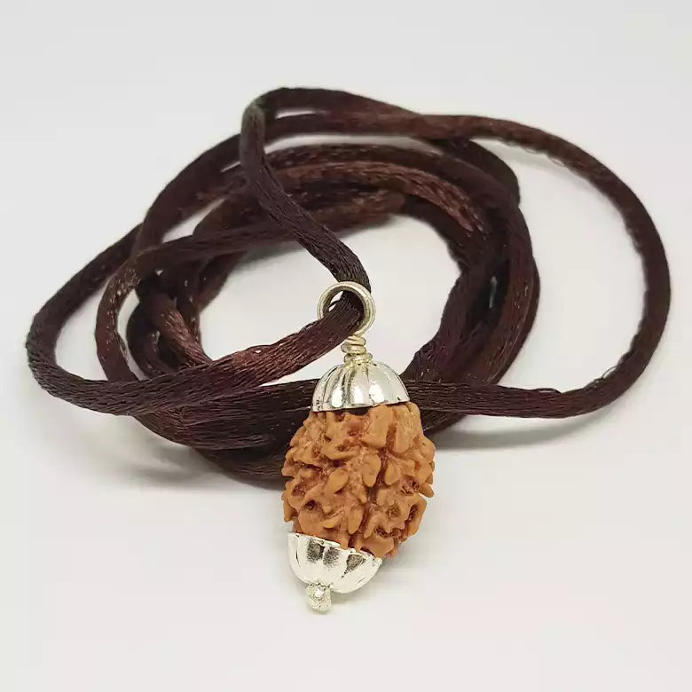 Three Faced Rudraksha