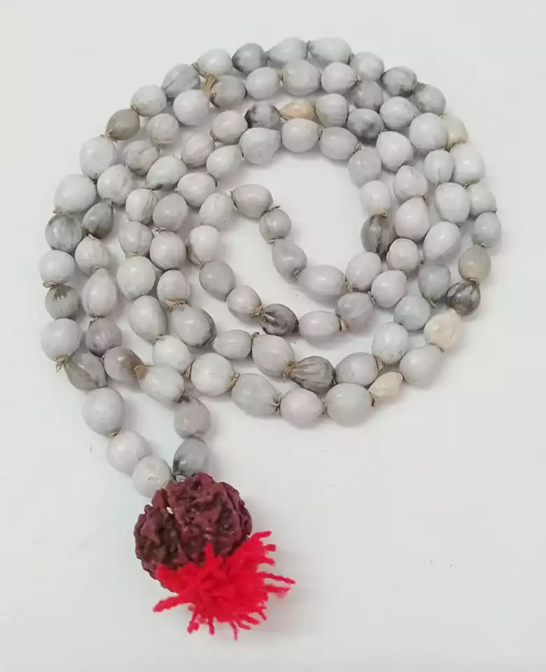 Vaijanti Mala